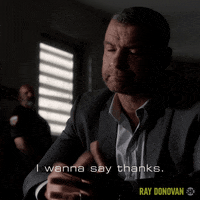Episode 1 Showtime GIF by Ray Donovan