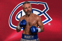 St Louis Montreal GIF
