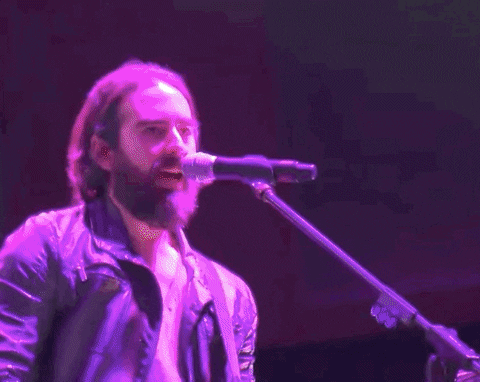 DesiertoDrive giphyupload concert desiertodrive latinrock GIF