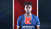 France Sport GIF by Paris Saint-Germain Handball