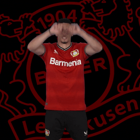 Soccer Checking GIF by Bayer 04 Leverkusen