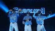 uncbaseball GIF by UNC Tar Heels