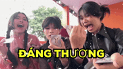 Ycc GIF