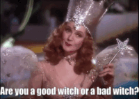 Wizard Of Oz Bad Witch GIF