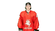 Hockey Liiga Sticker by ledoritulys.lt