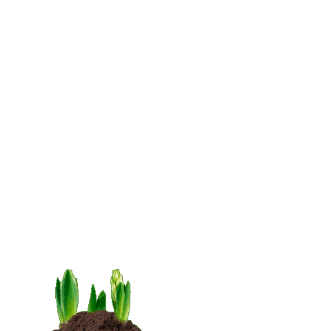 Watering Can Bailer Sticker by LeroyMerlinRussia