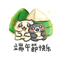Zongzi 端午節 GIF