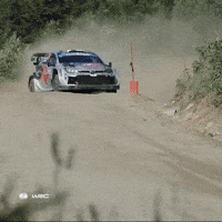 Slow Motion Cars GIF by FIA World Rally Championship