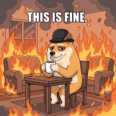This Is Fine Shiba Inu GIF by Doge Pound