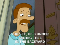 hey arnold nicksplat GIF