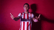 Sanluis Adsl GIF by Atlético de San Luis