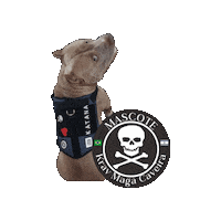Sticker by NXCROSS Fight Defense