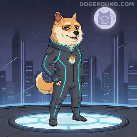 Shiba Inu Flirt GIF by Doge Pound