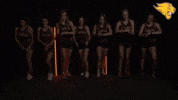 Xc GIF by CUCougars