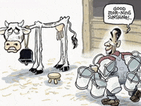 Milk Cow GIF