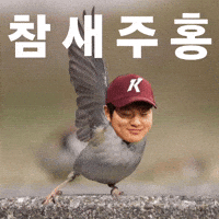 히어로즈 GIF