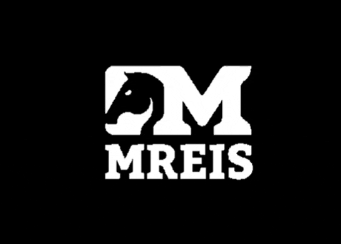 Cavalos GIF by MReis
