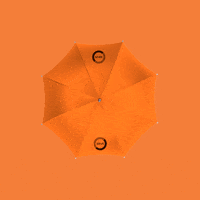 ZeusAgrotech zeus zeusagrotech zeusagro GIF