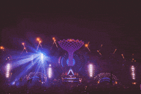 tiesto live GIF by Tiësto