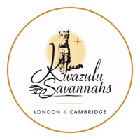 London Cambridge Sticker by Kwazulu Savannahs