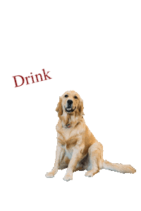 parishbrewingco dog beer cheers craftbeer Sticker