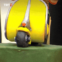 Go See You GIF by TRT