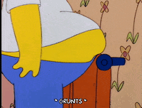 homer simpson GIF