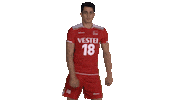 Volleyball Eurovolley Sticker by Türkiye Voleybol Federasyonu