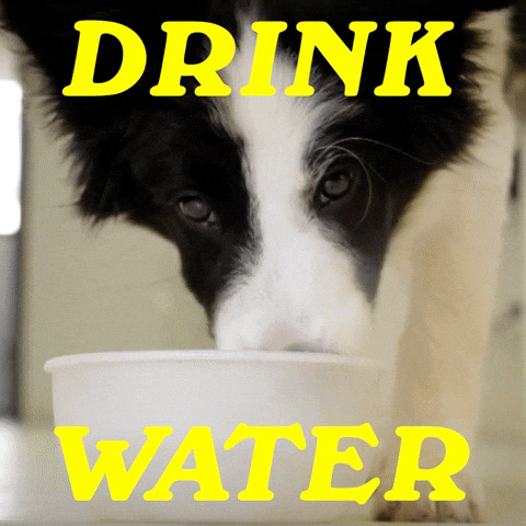 Melting Heat Wave GIF by Sealed With A GIF