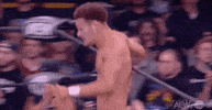 All Elite Wrestling GIF by AEWonTV