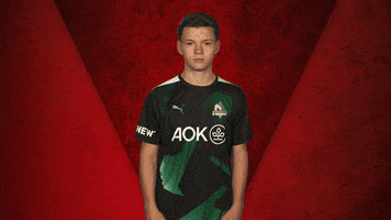 Vbl Bmg GIF by Bundesliga