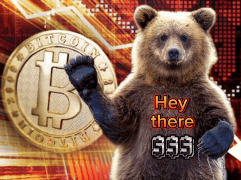 IrinaMania crypto hey bear bull GIF