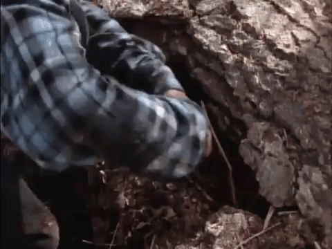 are you afraid of the dark nicksplat GIF