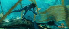 James Cameron Swimming GIF by Regal