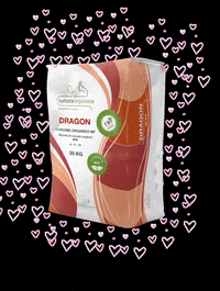 NaturaOrganica dragon natural organic bio GIF