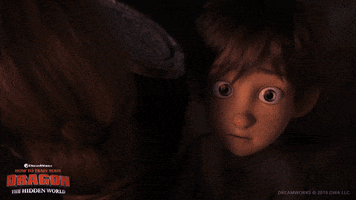 httyd GIF by How To Train Your Dragon