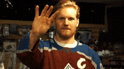 Colorado Avalanche Hockey GIF by UCHealth