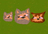 Bark choir