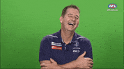GIF by AFL
