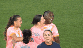 Orlandopride GIF by National Women's Soccer League