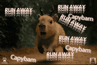 Run Running GIF