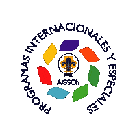 Pie Programasinternacionales Sticker by AGSCHILE