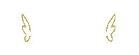 Bride Team Sticker by Penti