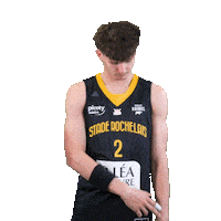 Basket Sticker by Stade Rochelais