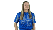 Italia Italiateam Sticker by FIBS - Federazione Italiana Baseball Softball