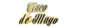 may 5th cinco de mayo Sticker