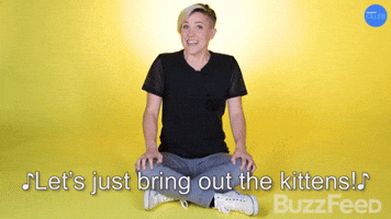 Bring Out The Kittens