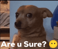 panditxedits dog sure doubt asking GIF