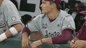 Baseball College GIF by NCAA Championships