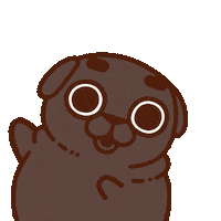 Look Here Omg Sticker by Puglie Pug